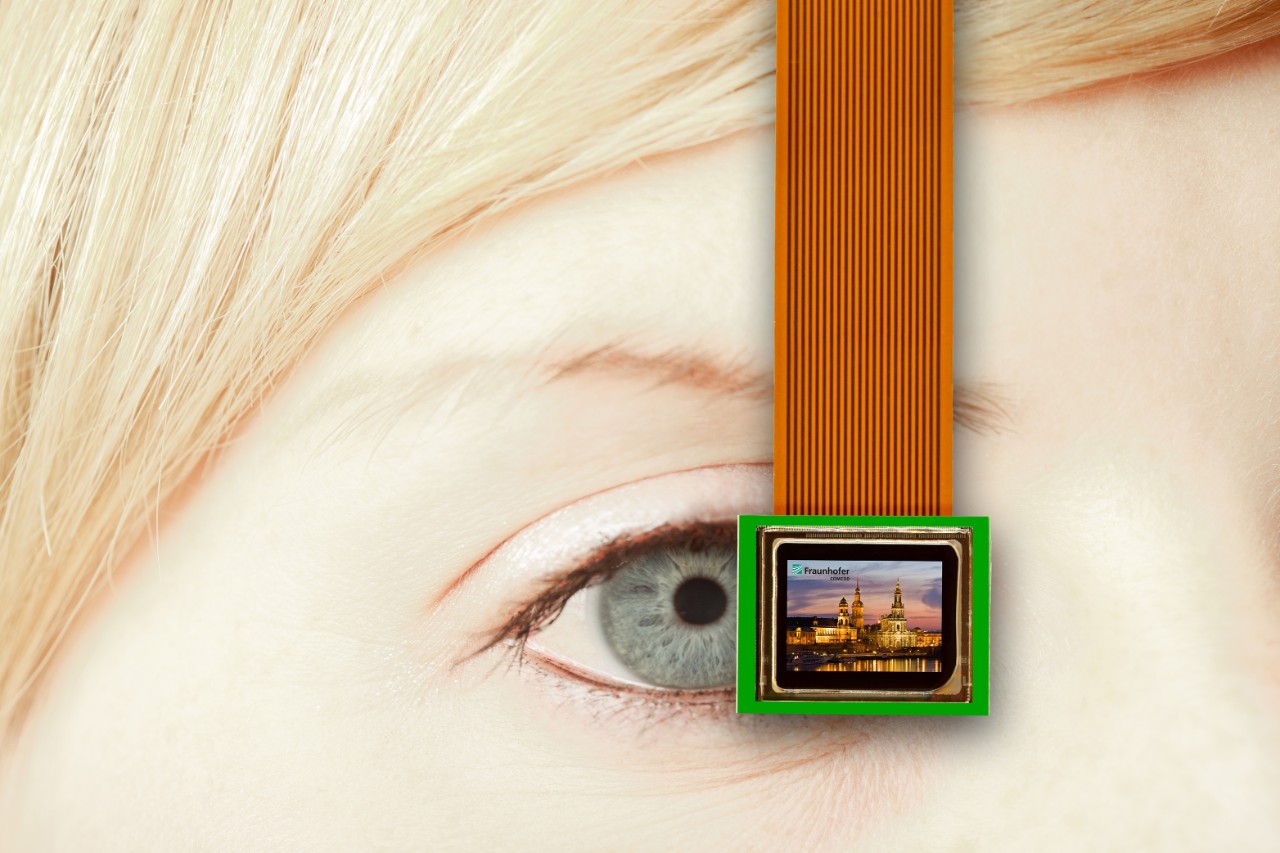 bi-direktionales OLED Mikrodisplay.